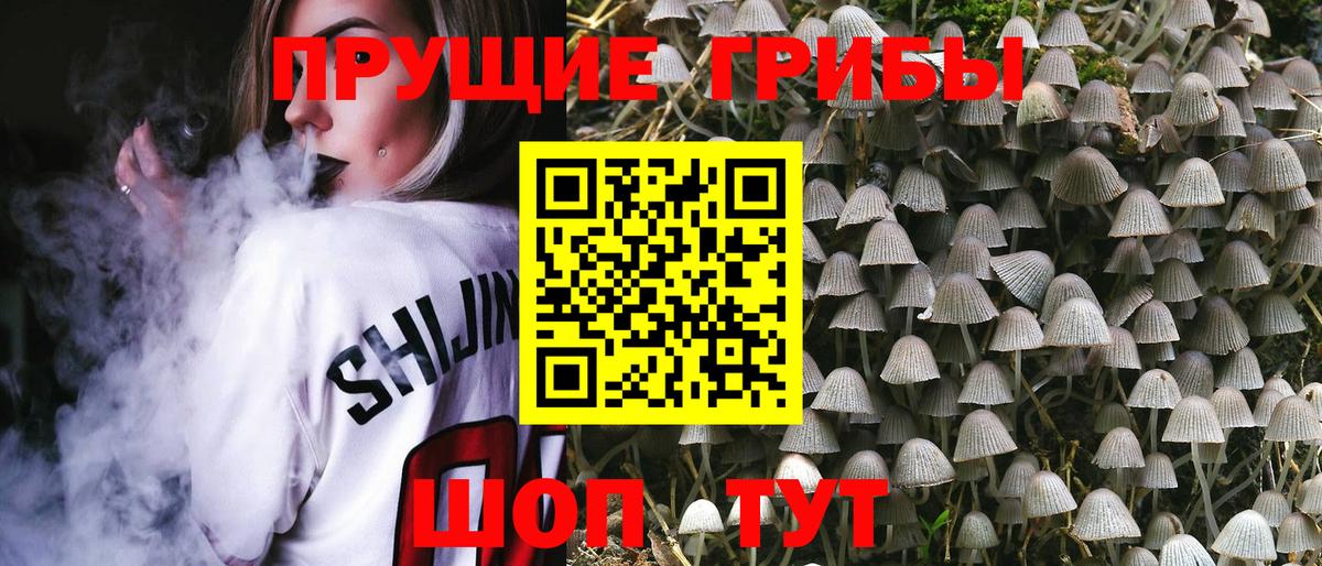 Галлюциногенные грибы MAGIC MUSHROOMS  магазин    Королёв  Галлюциногенные грибы ЛСД  Вход с VPN 